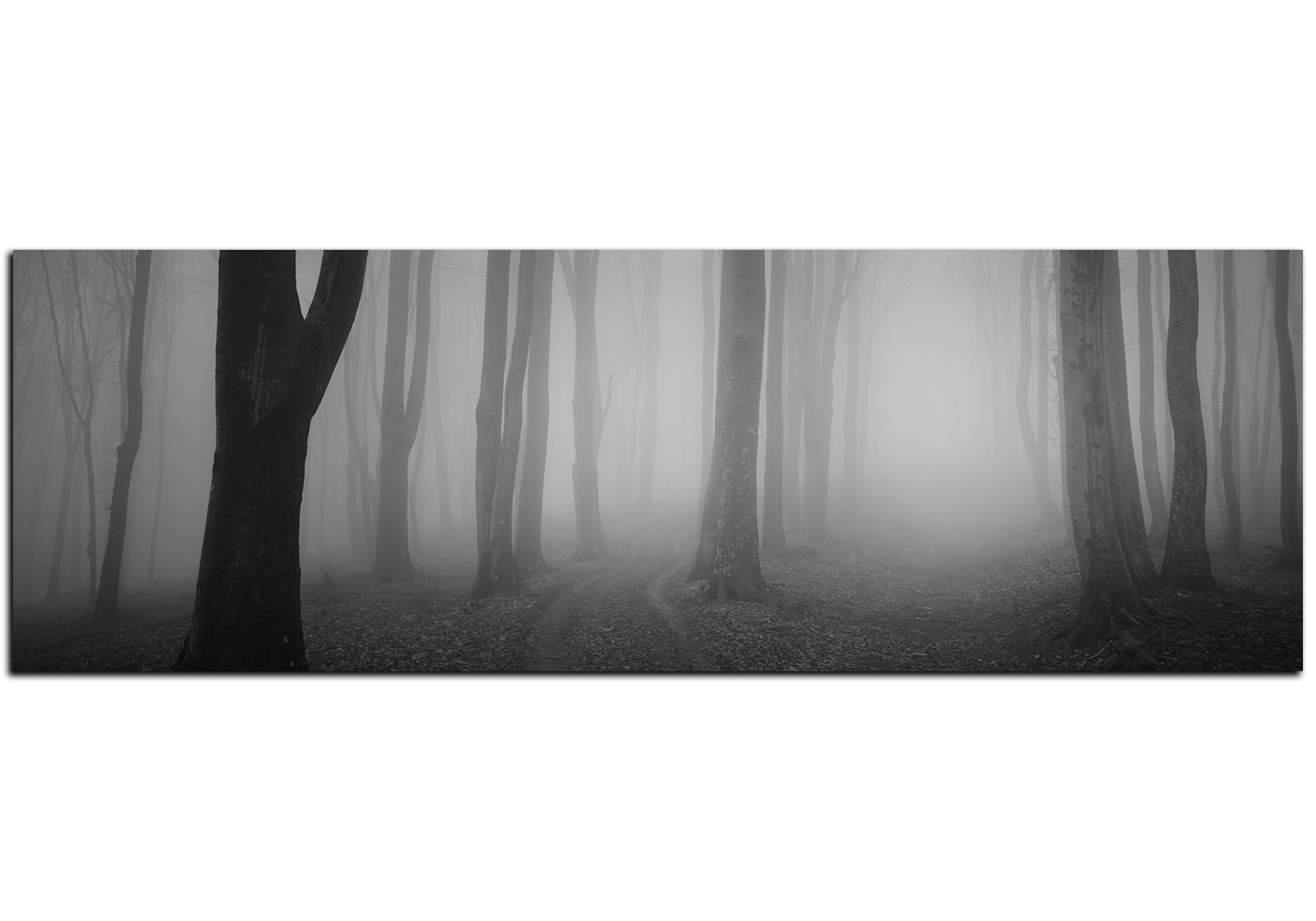 Obraz na plátně - Mlha v lese - panoráma Obraz na plátně - Mlha v lese - panoráma